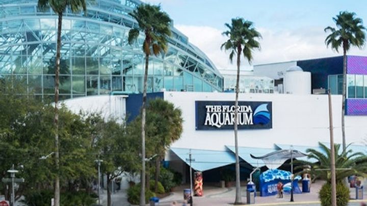 The Florida Aquarium: Entry Ticket