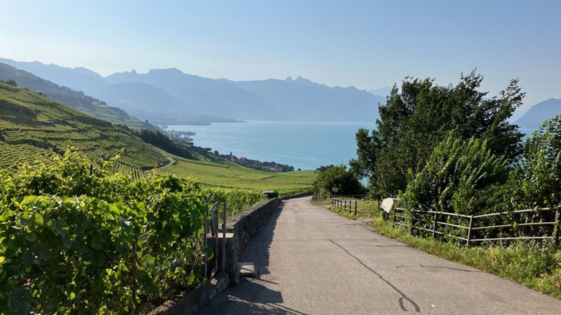Visite audio du lac Léman en voiture autonome au départ de Lausanne/Montreux