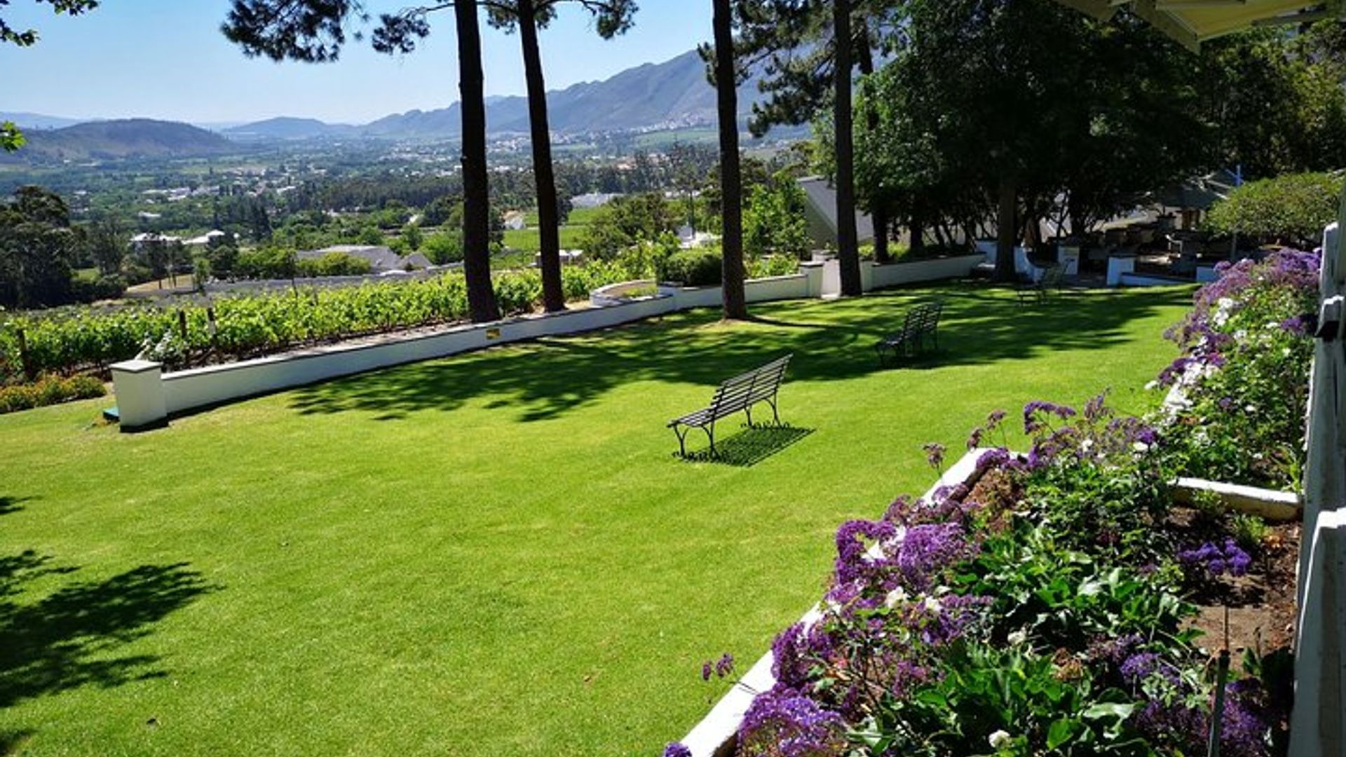 Excursión privada de un día completo a Cape Winelands desde Ciudad del Cabo