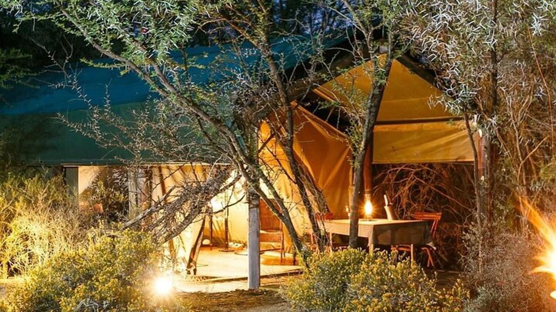 2 jours en petit groupe Garden Route Big 5 Safari Tour de Cape Town