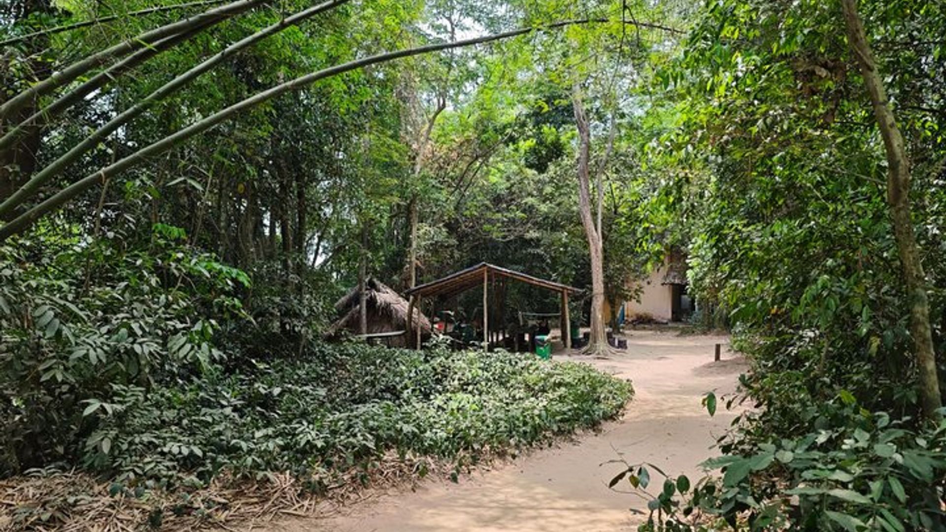 Ciudad Ho Chi Minh : Tour en grupos pequeños por los túneles de Cu Chi Ben Duoc