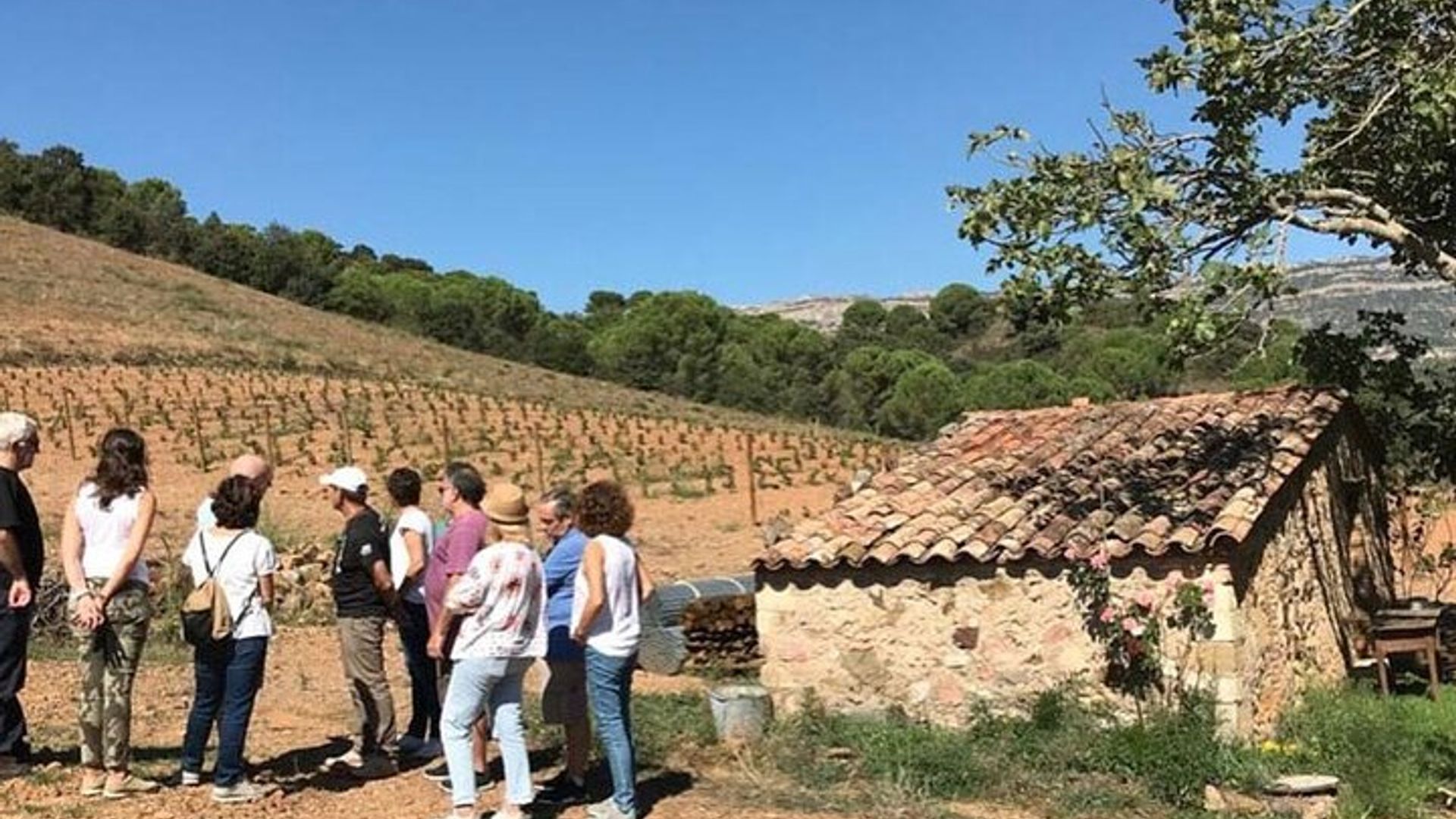 Private Siurana village & tasting wines cellar with hotel Pickup