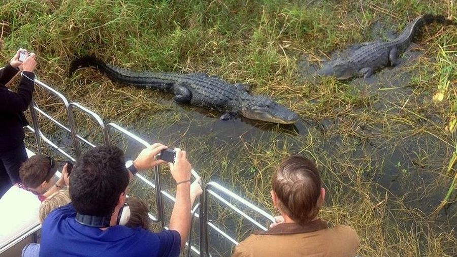 Florida Everglades Airboat and Alligator Park from Orlando