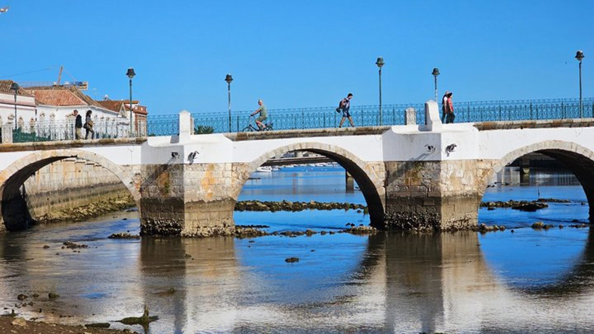 Tavira Roots : Salt Pans, Octopus, Tuna Heritage Wine & Tapas