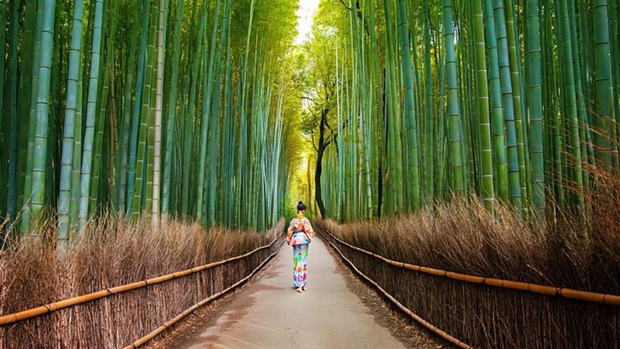 Award-Winning Arashiyama Walking Tour - Bamboo Forest, Monkey Park & Gardens