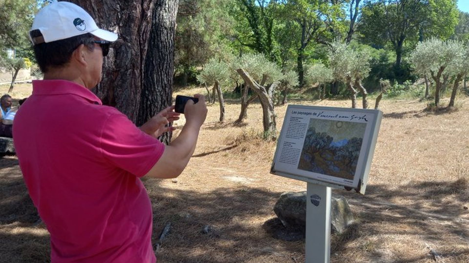 Provence and Arles Small-Group Van Gogh Tour From Avignon