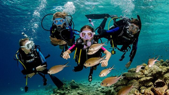 Marmaris Beginner Scuba Diving: 2-Dive Experience with Lunch