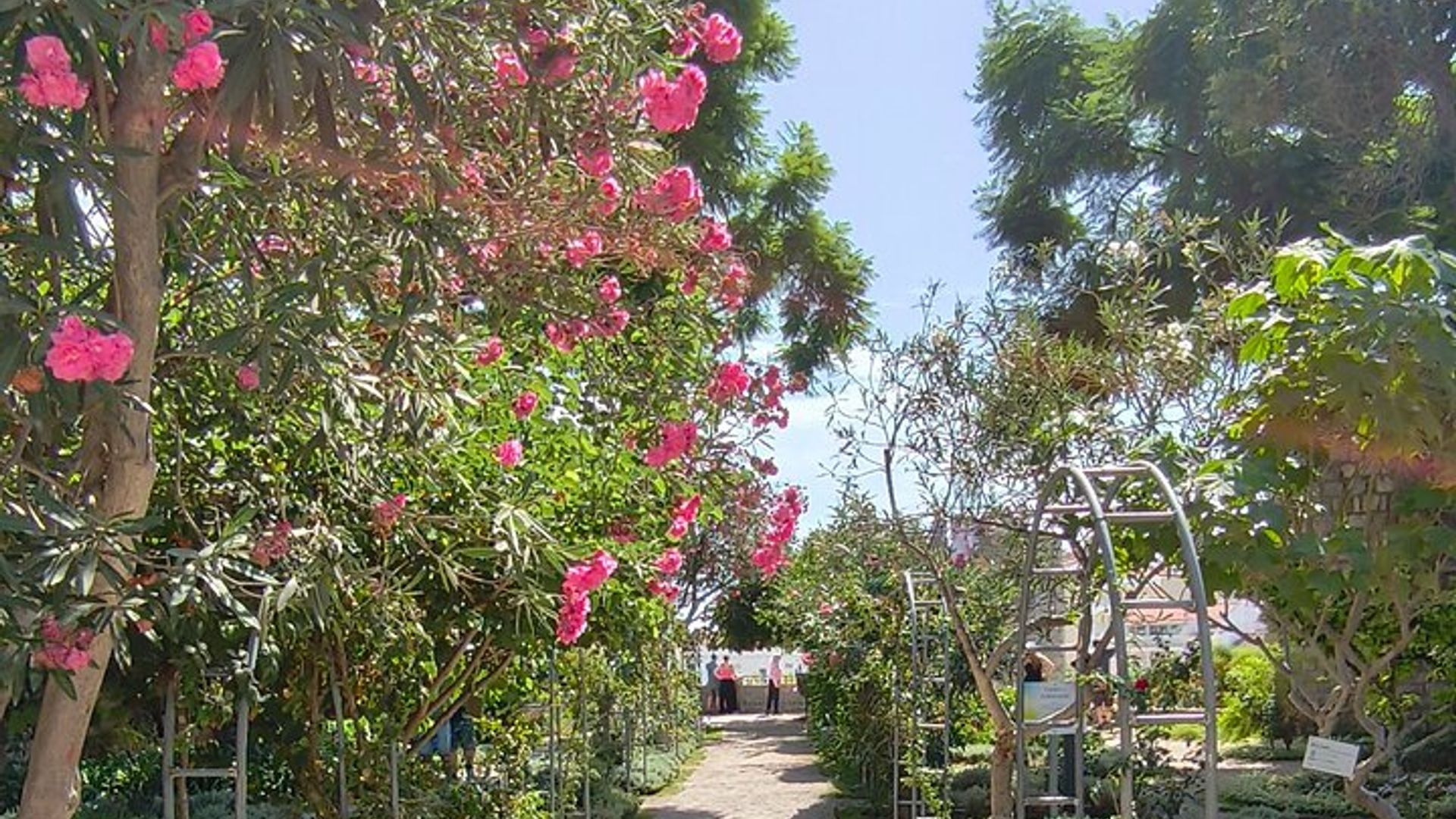 Visite du marché de Tavira Olhão et d'Ayamonte en Espagne