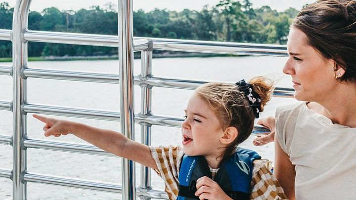 90-Minute Dolphin and Nature Tour of Hilton Head