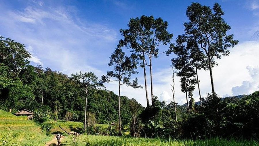 Rural Explorer Mountain Biking Tour Chiang Mai