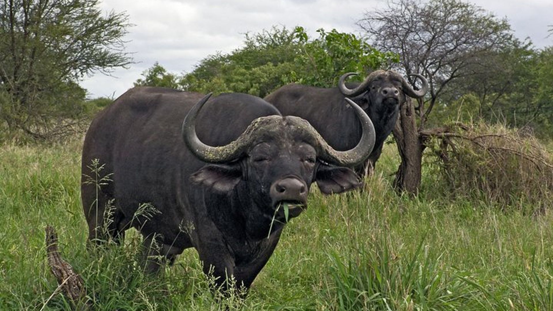 10-tägige private Safari-Tour von Johannesburg nach Kapstadt