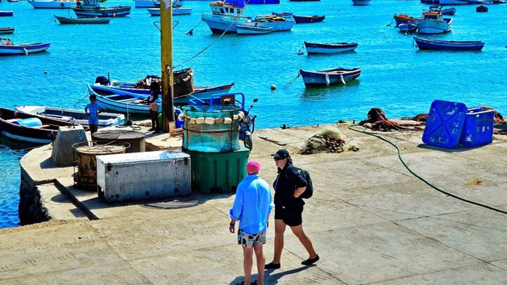 De Sal Island Blu eye Lac salé Requins citron et Palmeira