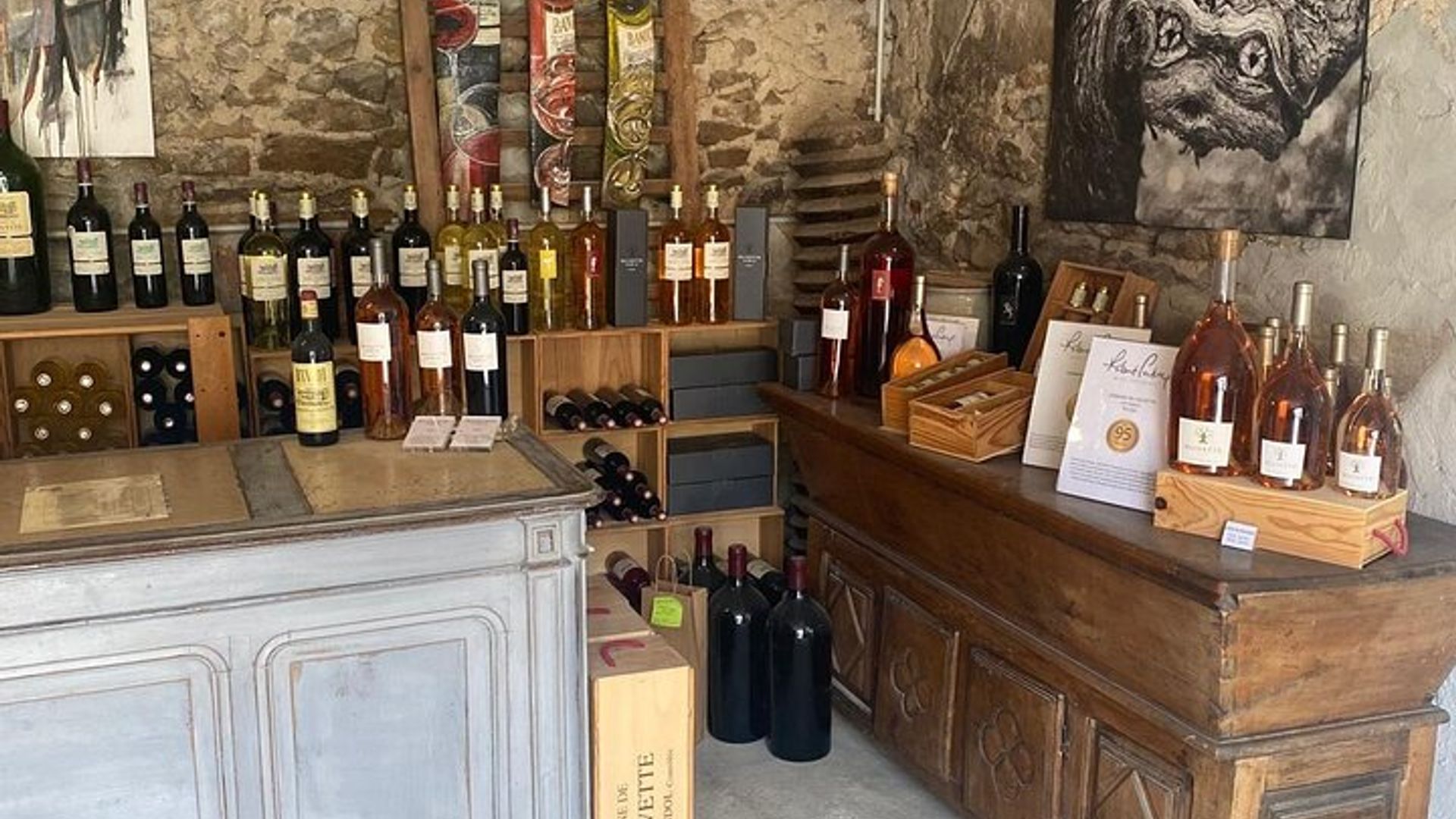 2 Best Villages of Var Region and Wine Tasting from Sanary port