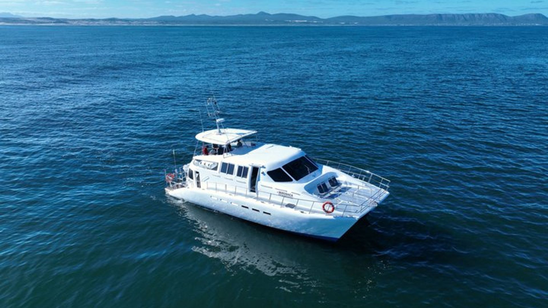 Avistamiento de ballenas y aventura de pingüinos en barco Hermanus
