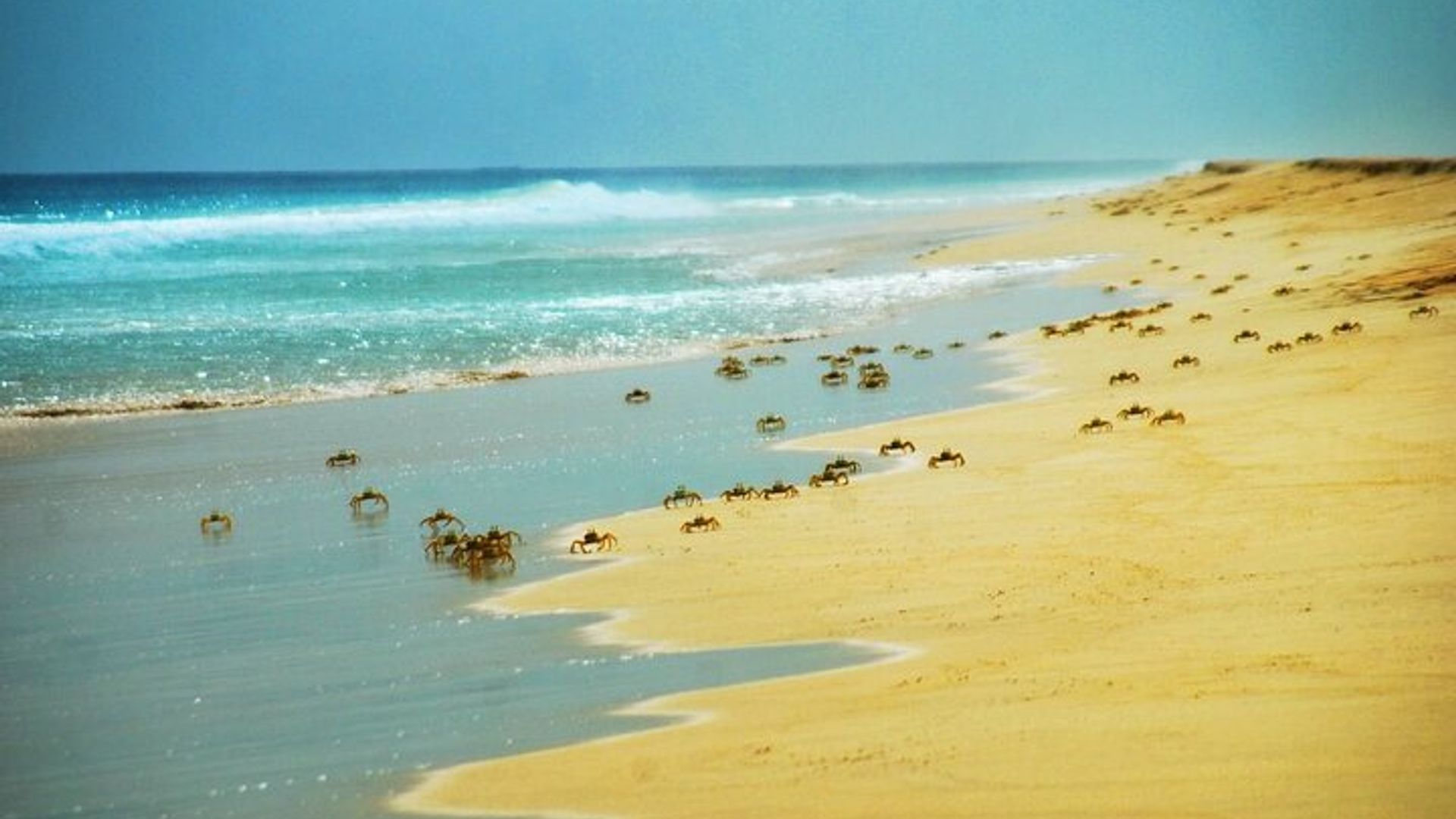 Full Day Sal Island Tour in Santa Maria