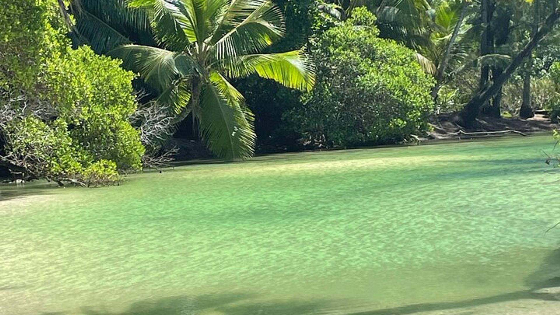 5 Hour Private Customize Tour of Mahe, Seychelles