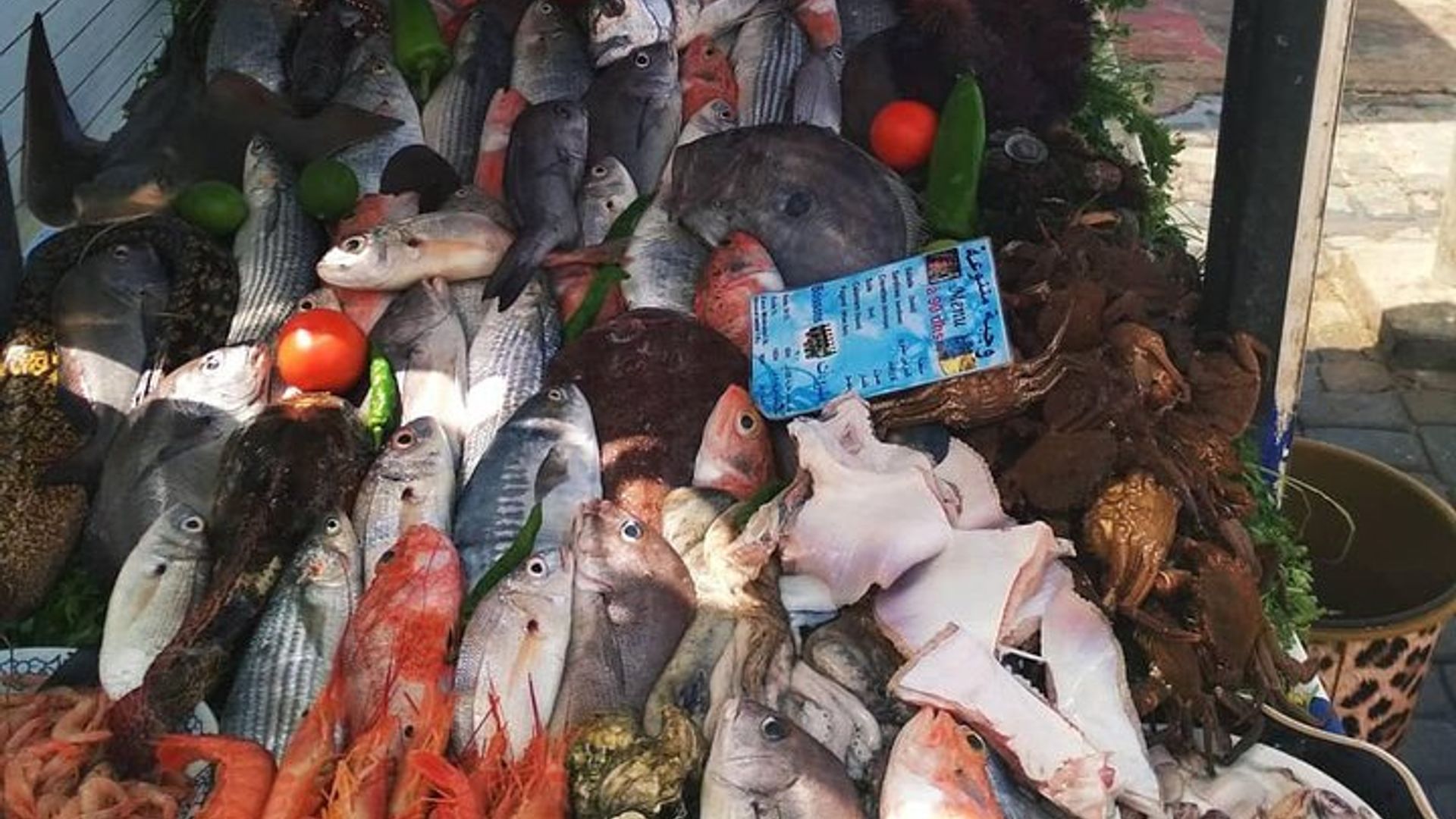 Excursion d'une journée à Essaouira au départ de Marrakech