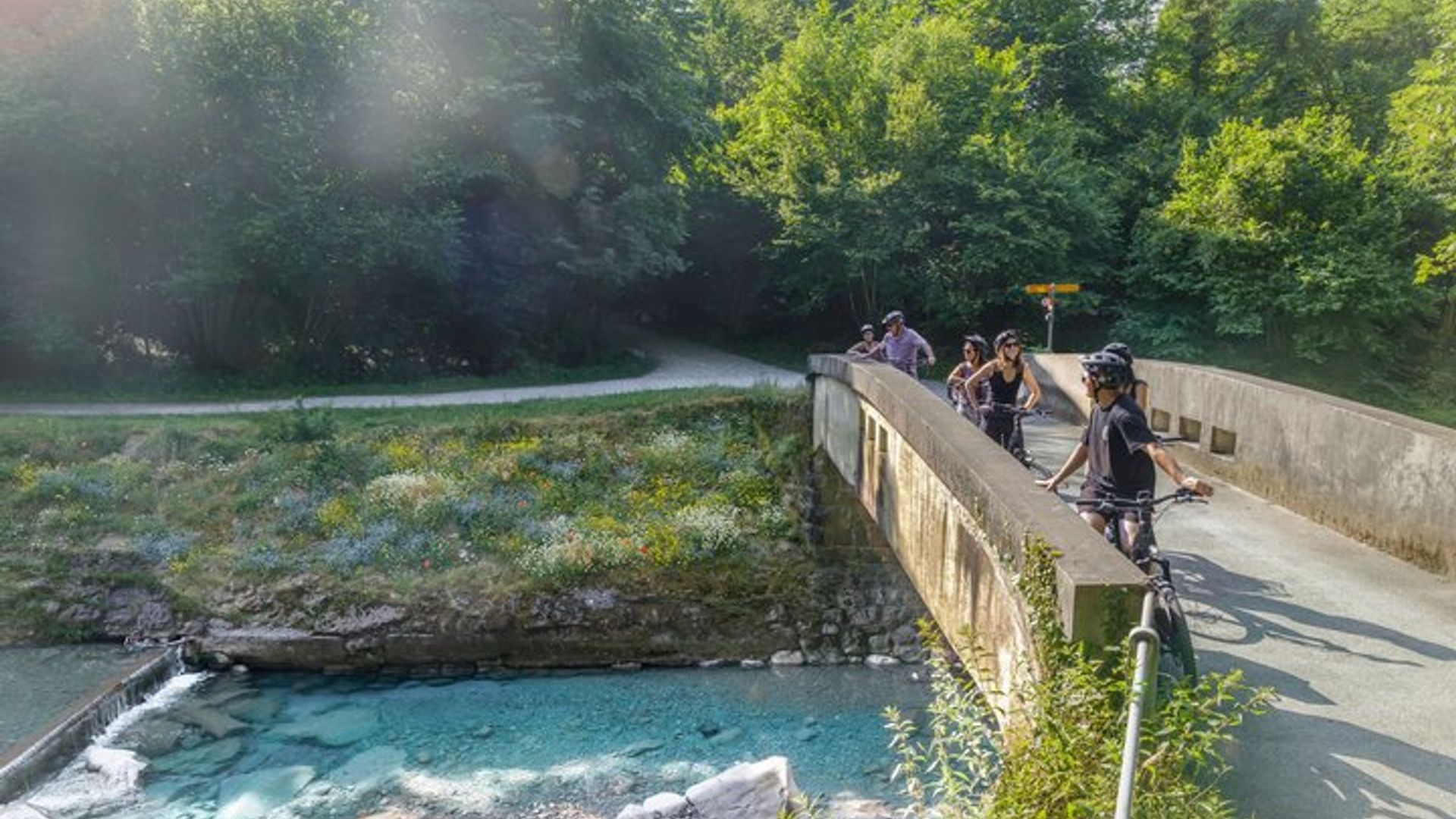 Tour en E-Bike Interlaken: Ruinas de Campo y Castillo