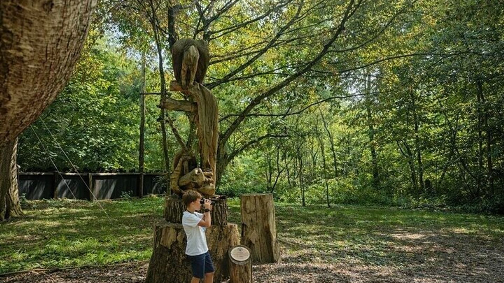 De Safari aux Vikings Une journée en famille