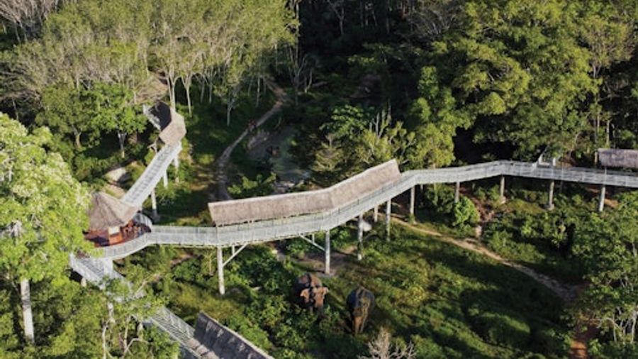 Phuket Elephant Sanctuary: Guided Canopy Walkway Tour + Unlimited Snacks