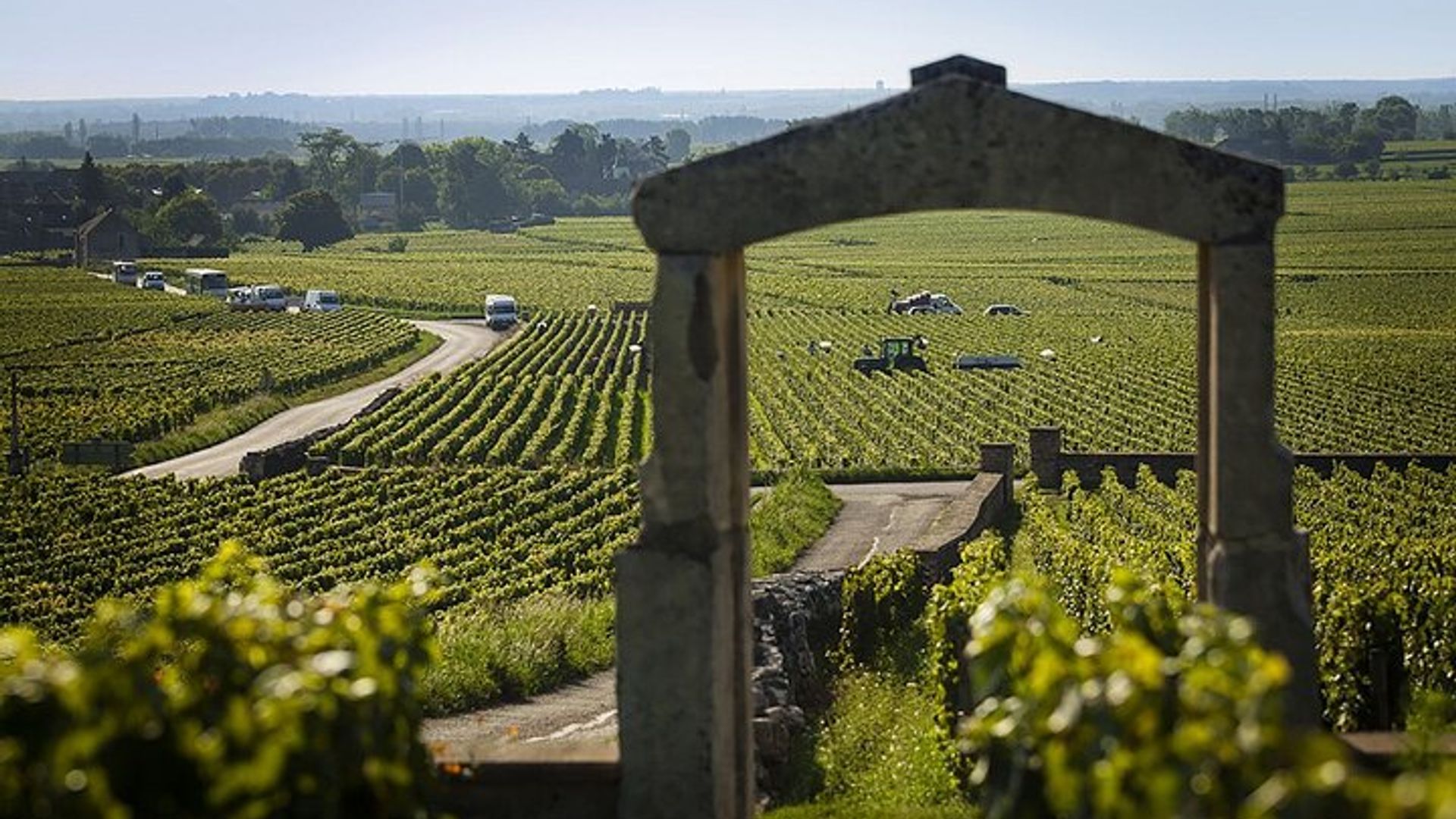 Tour de degustación de 15 vinos Côte de Beaune & Nuits de día completo en Borgoña