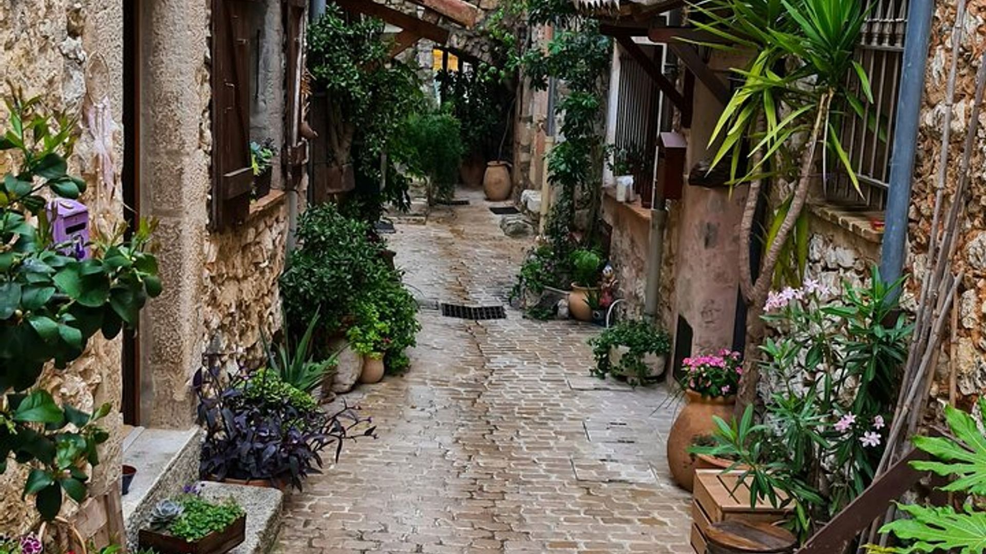 Nice Hilltop Villages PrivateTour Grasse Gourdon St-Paul DeVence