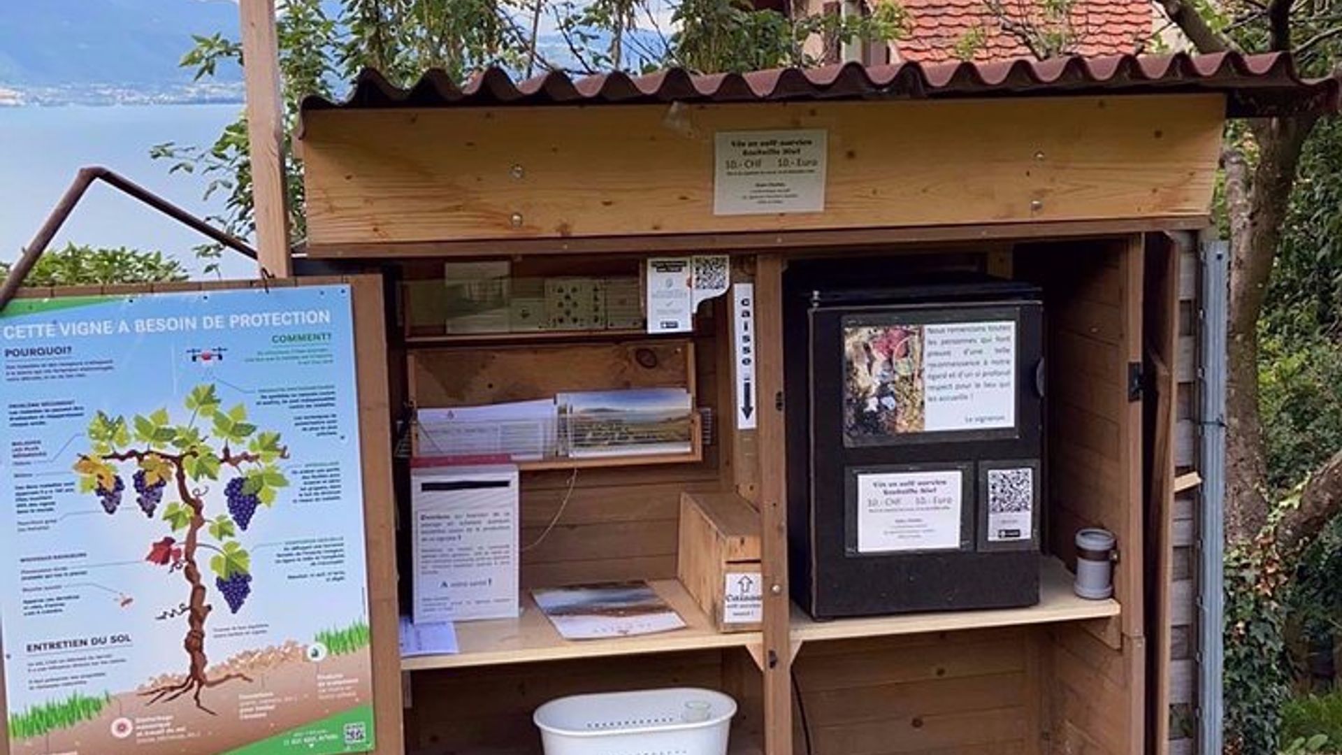Vine Stories: Lavaux & Lutry Wine Walk