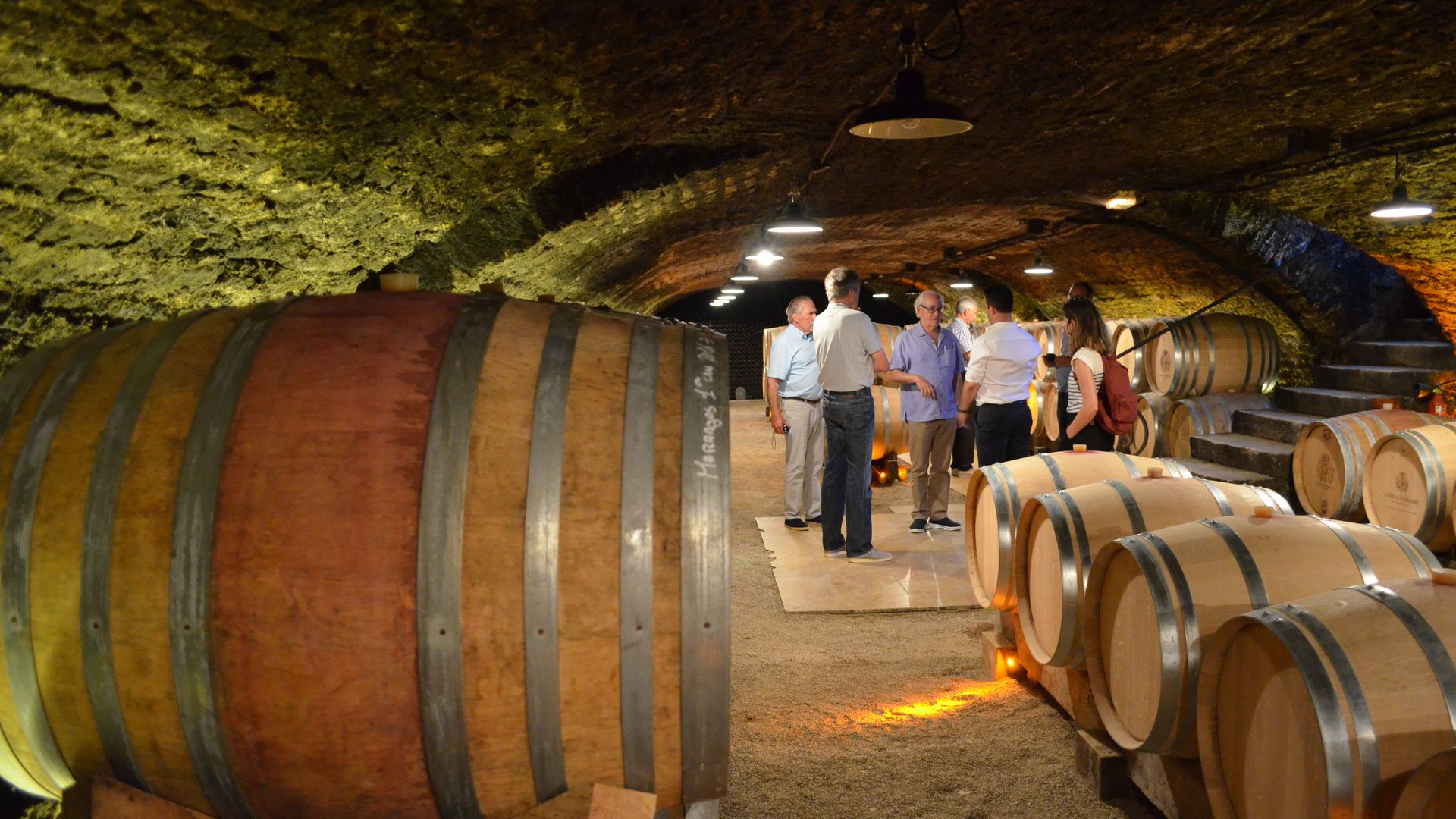 Half-Day Bike & Wine Tour in Burgundy's Côte de Beaune