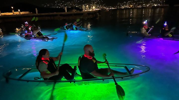 St. John Small-Group Night Kayaking Tour at Westin Resort
