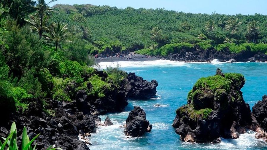 Maui Small-Group Early Morning Road to Hana Tour With Lunch