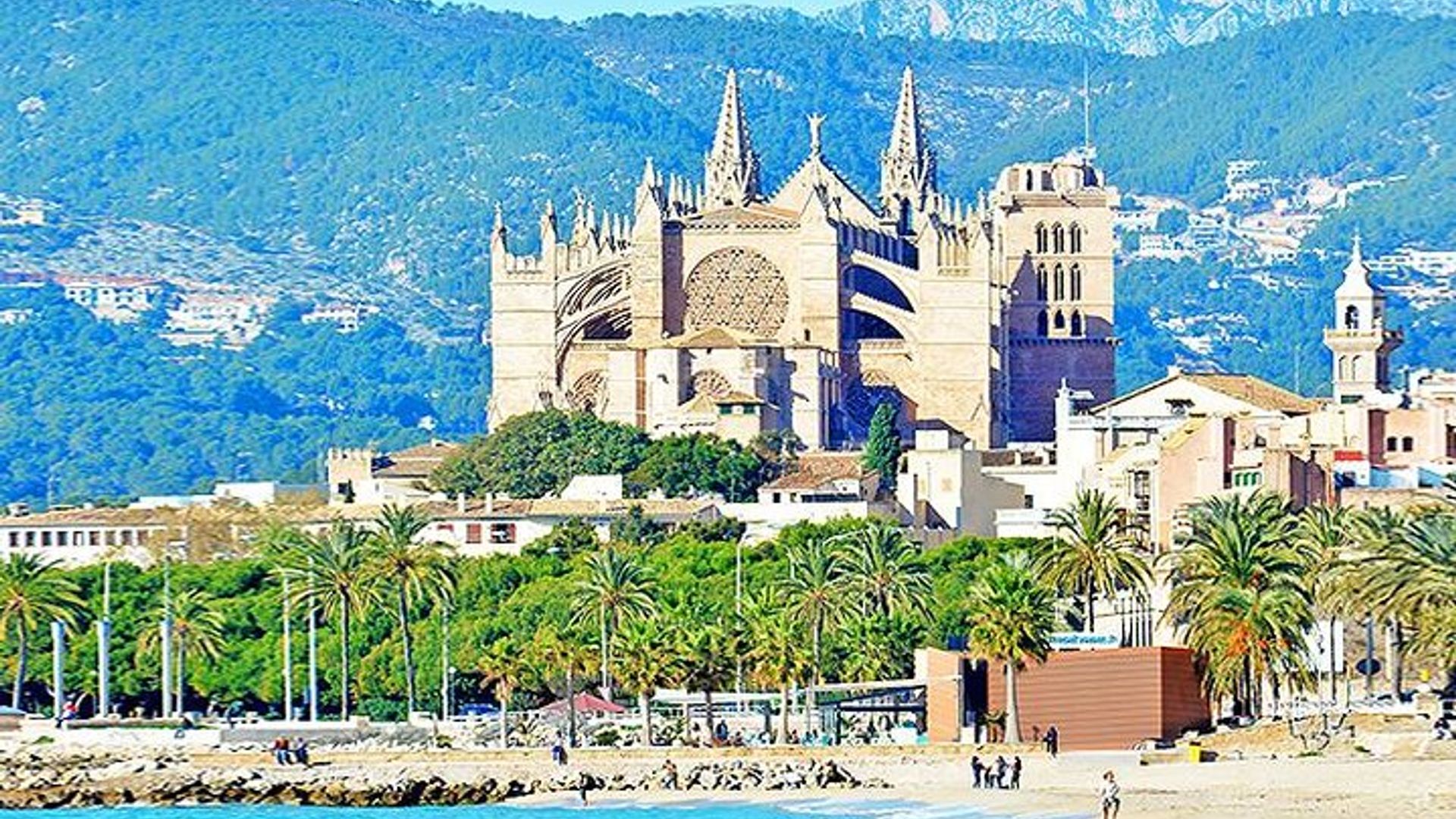 Tour Guidato di Palma di Maiorca con Prelievo dall'Hotel