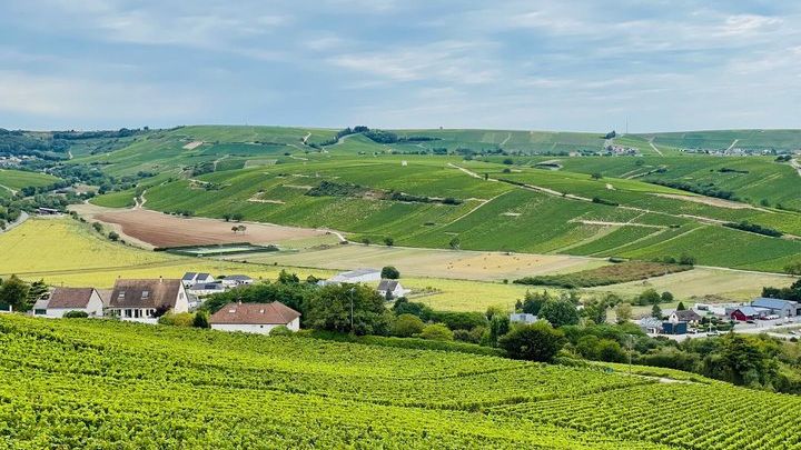 Paris: Small-Group Champagne Day Tour