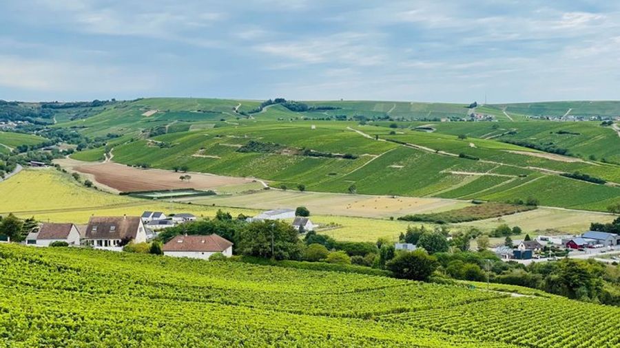 Paris: Small-Group Champagne Day Tour