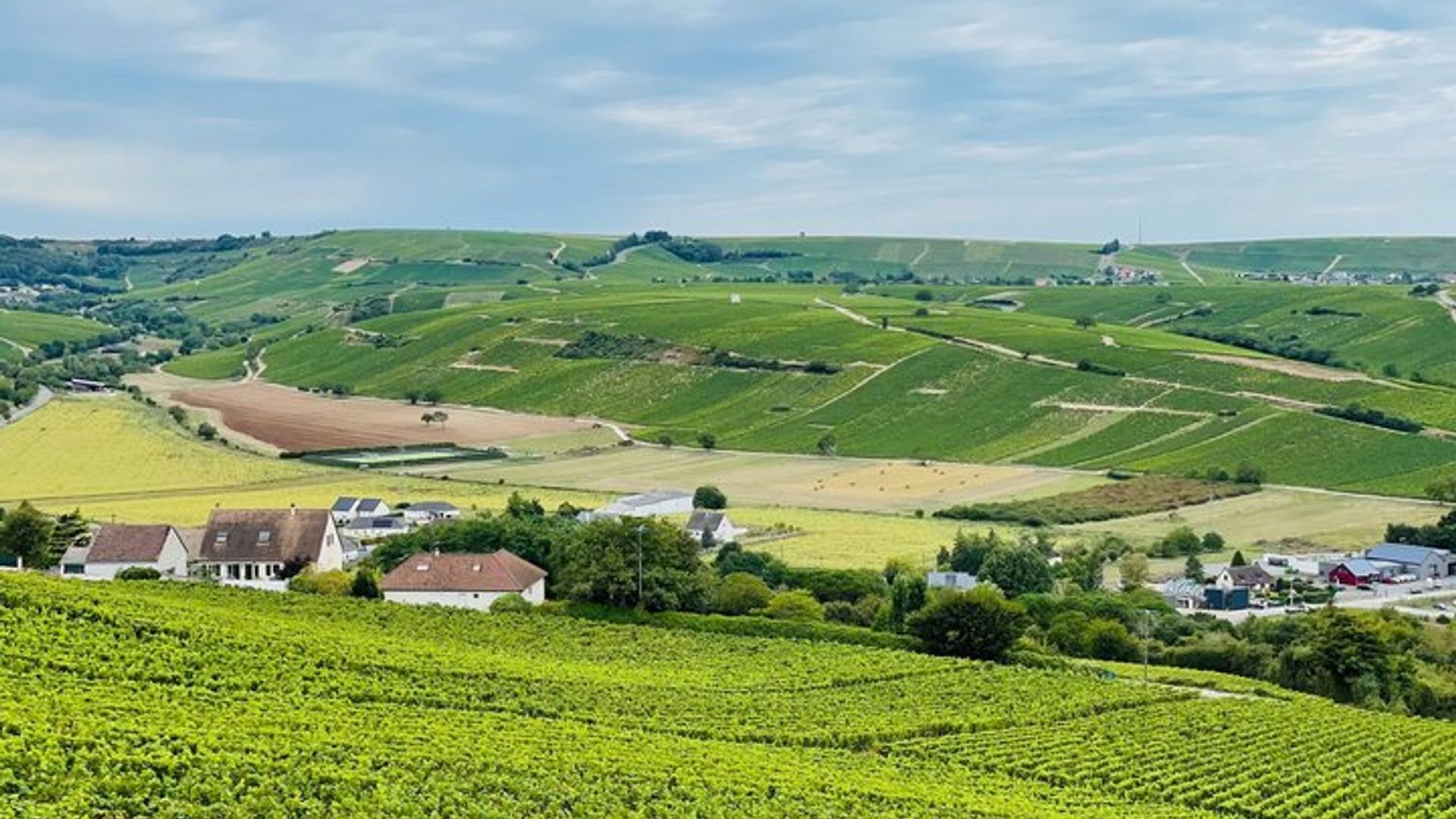 Paris: Small-Group Champagne Day Tour