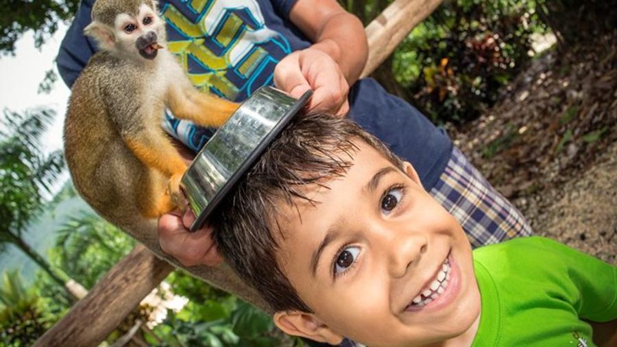Monkeyland Safari and Coffee Plantation Tour From Punta Cana