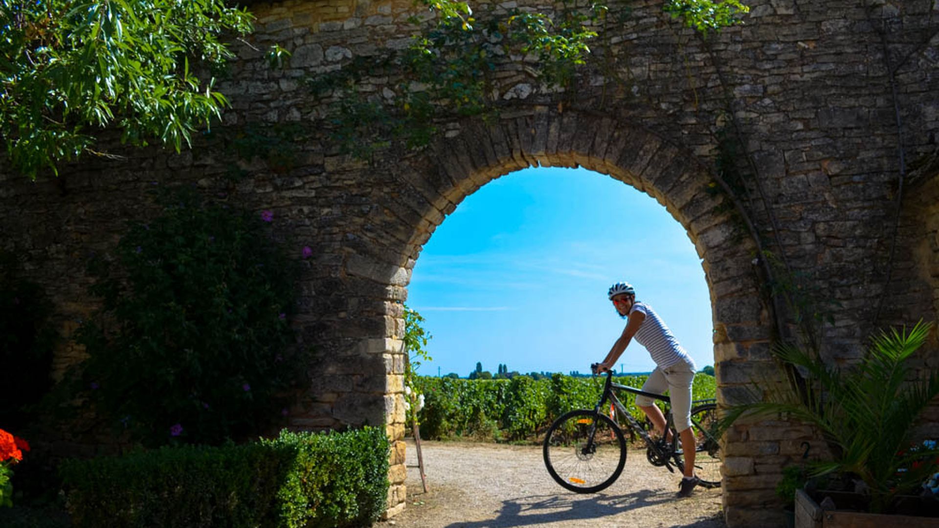 Half-Day Bike & Wine Tour in Burgundy's Côte de Beaune
