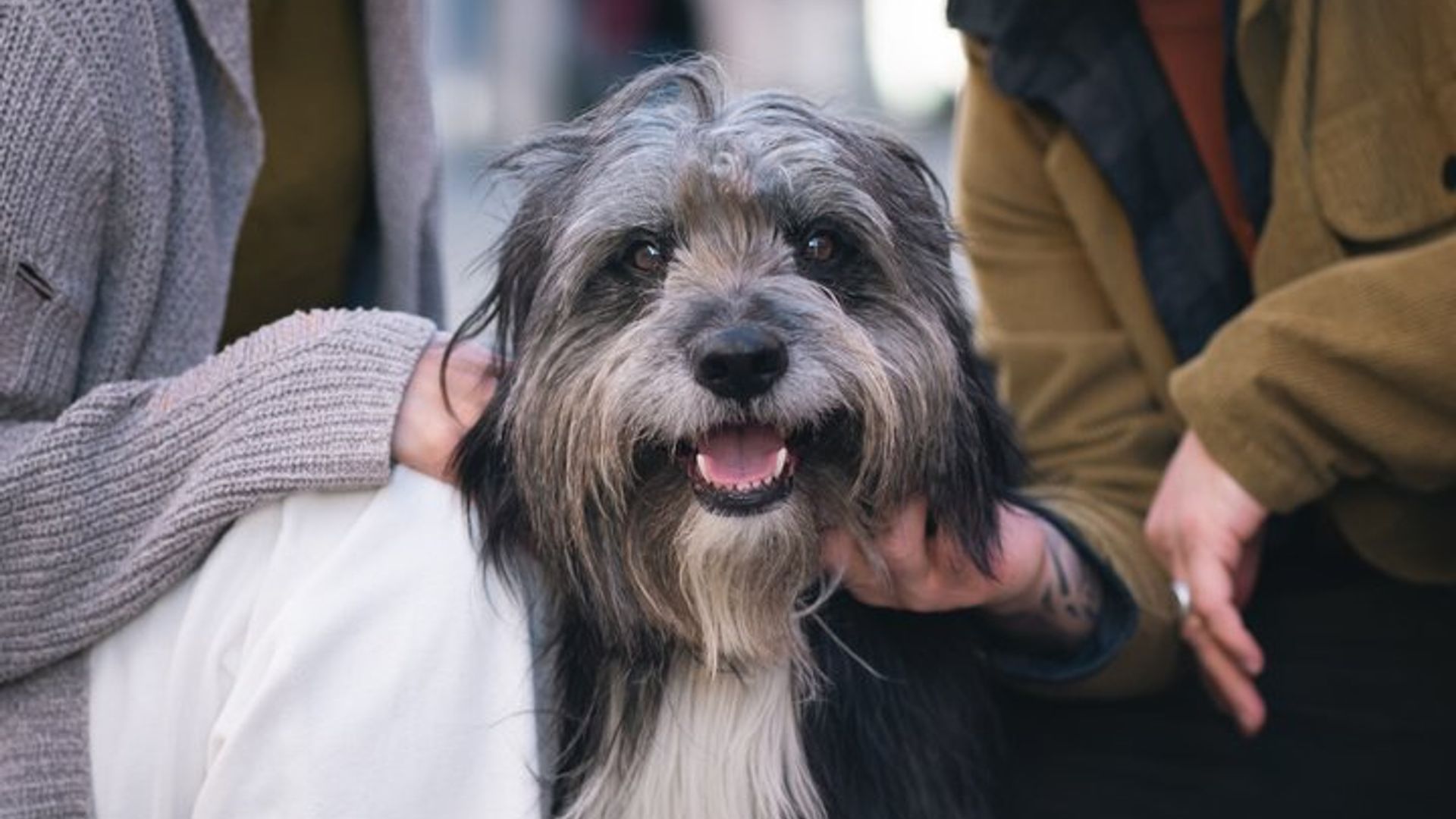 Private Photoshoot in Chur Swiss Alps Vacation Photography