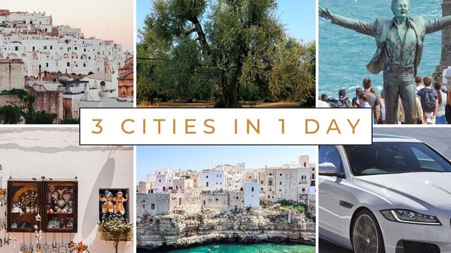 Ostuni, Locorotondo & Polignano Private Full-Day Tour From Bari