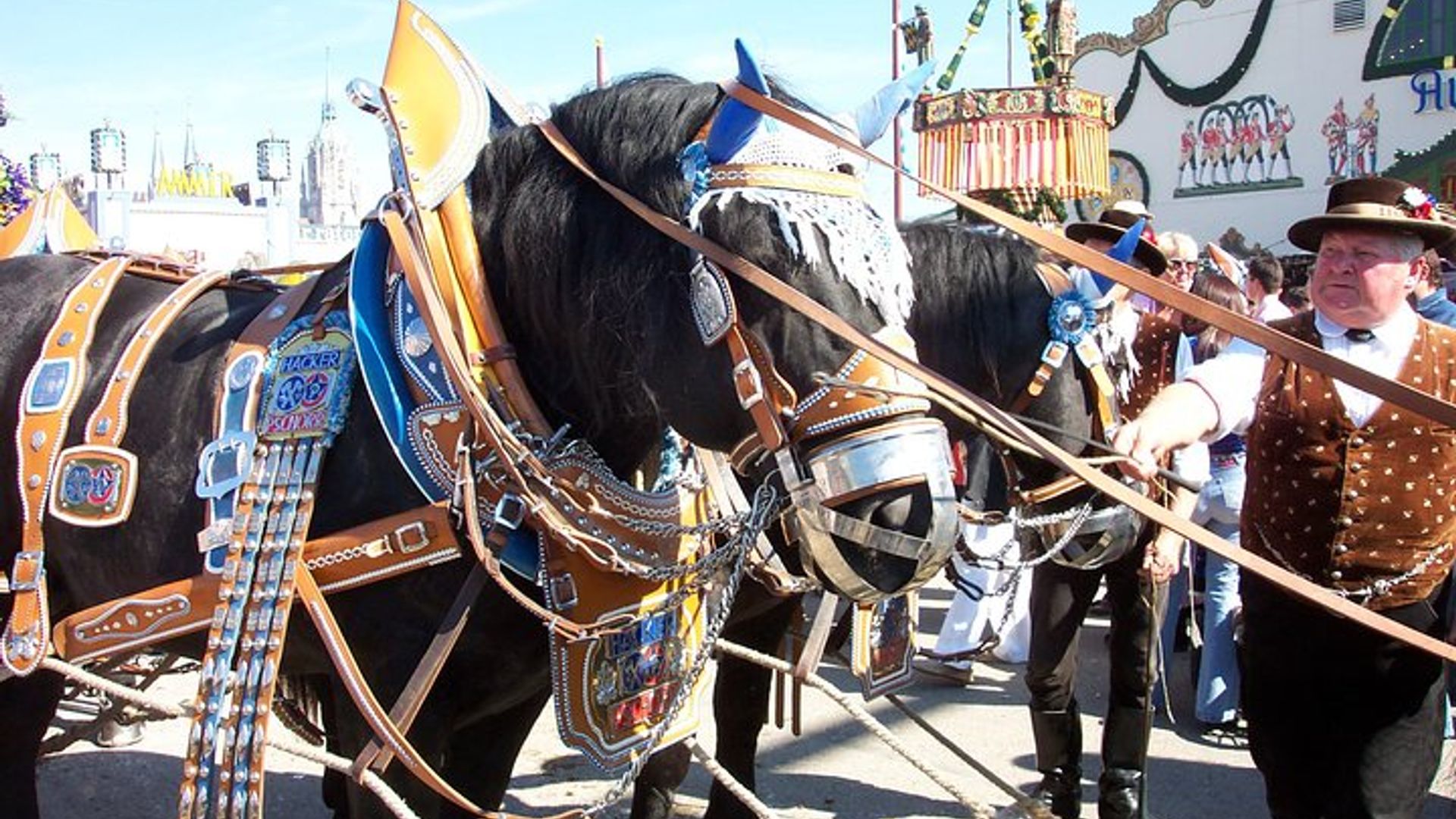 Munich Walking Tour: City Center with English Garden and More