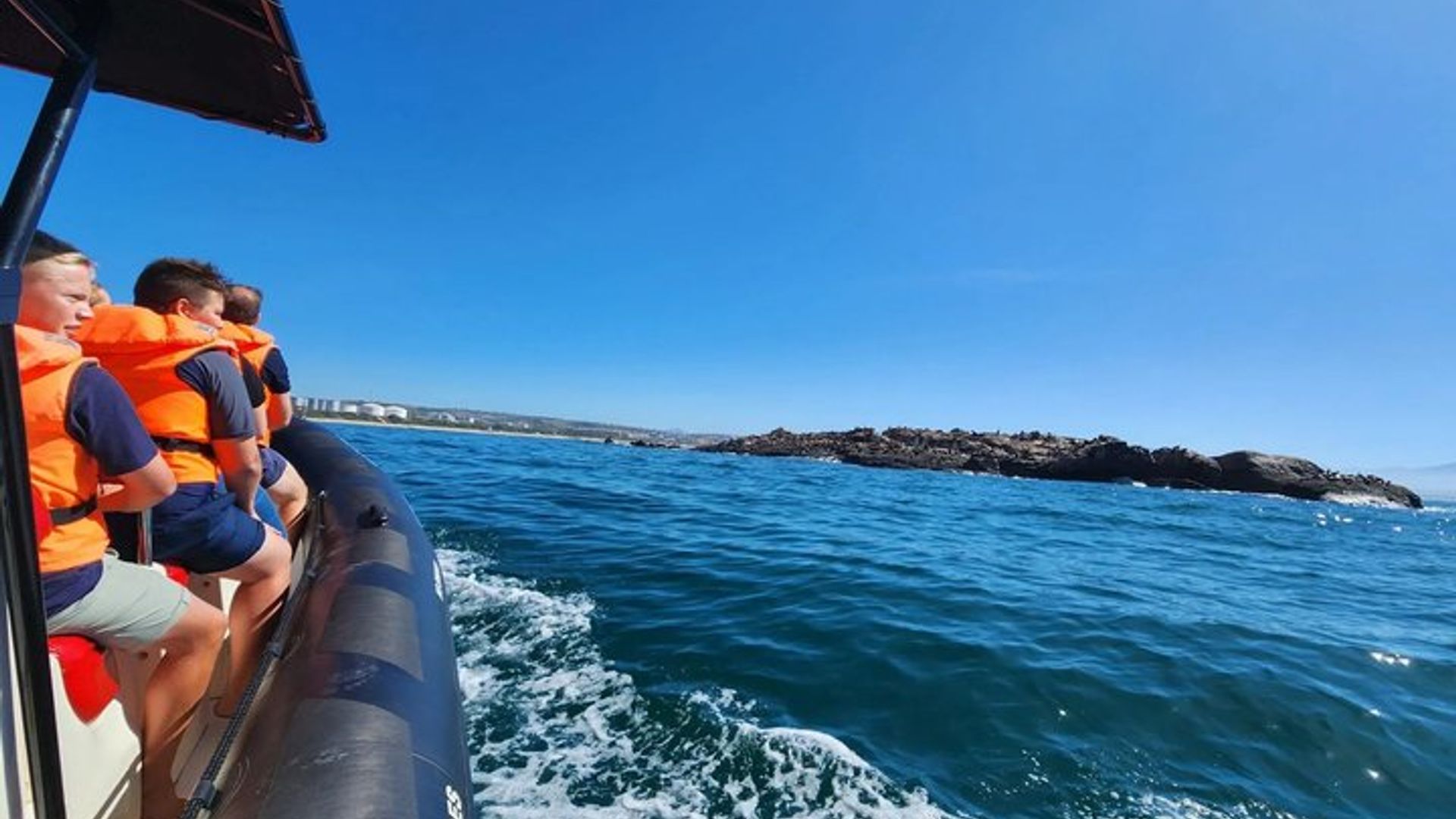 Seal Island Mossel Bay Tour
