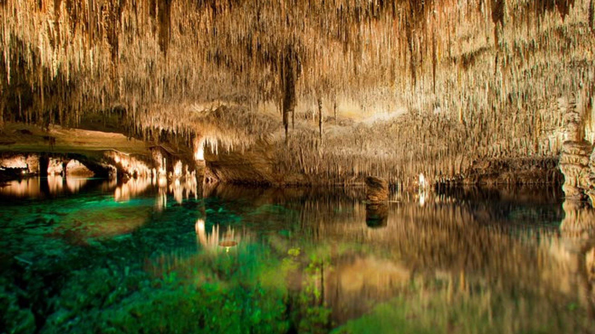 Tour de Meio Dia nas Cavernas de Drach com Passeio de Barco e Concerto de Música
