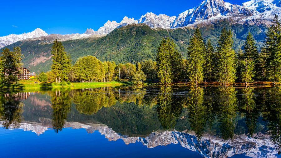 From Geneva to Chamonix Mont Blanc bus roundtrip