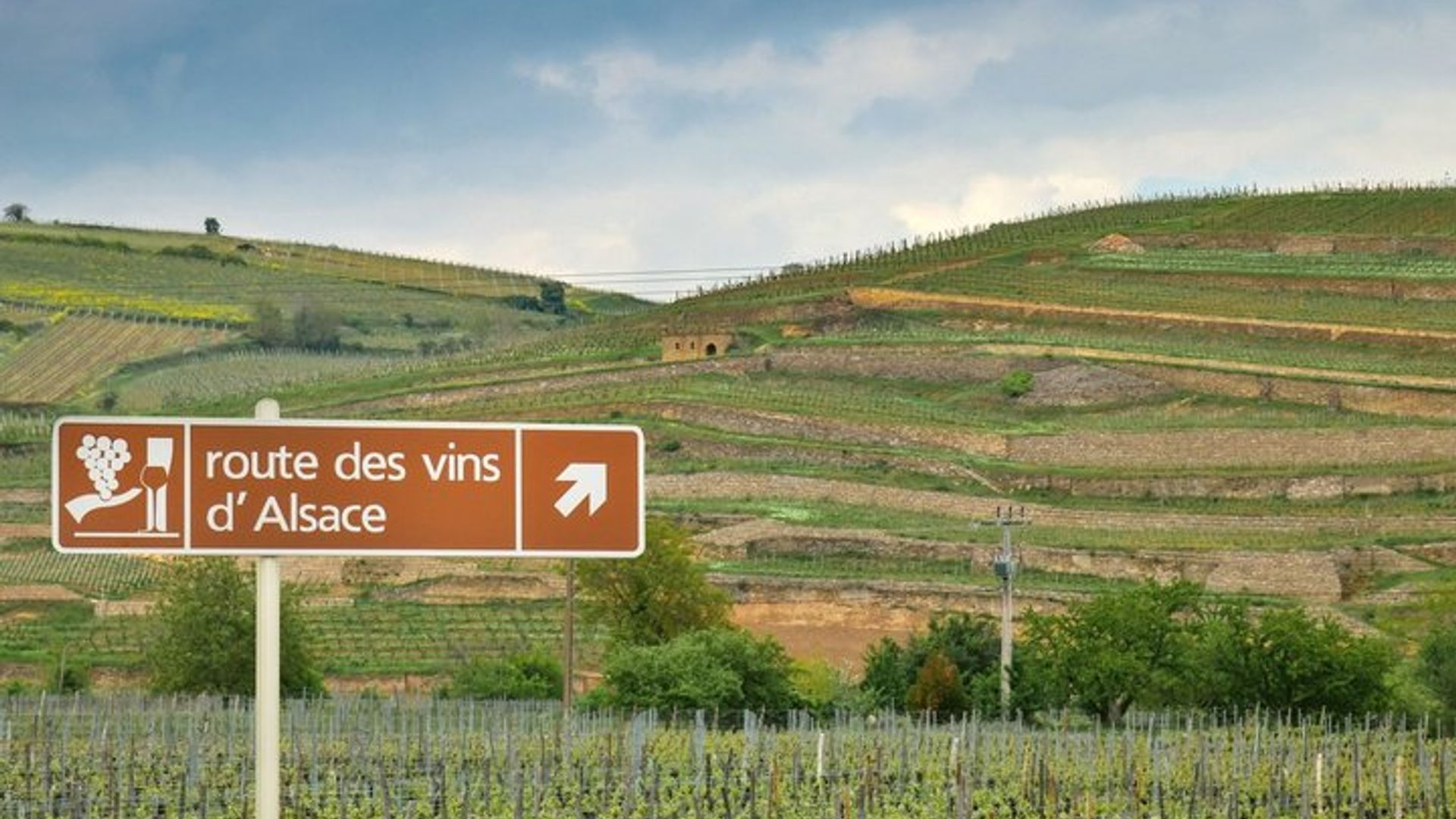 Guide artisan local Visite vignes cave et 6 Vins Orschwihr
