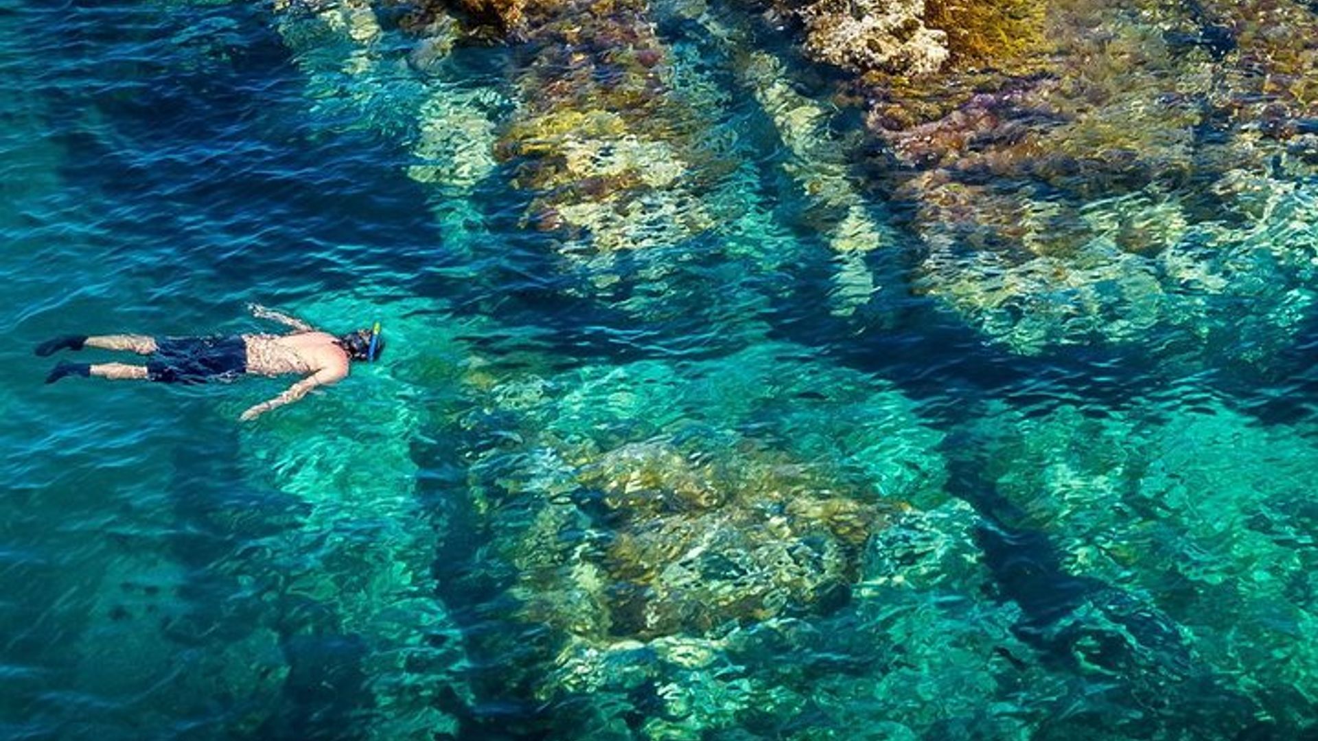 Costa Brava Abenteuer : Kajak, Schnorchel & Klippensprung mit Mittagessen