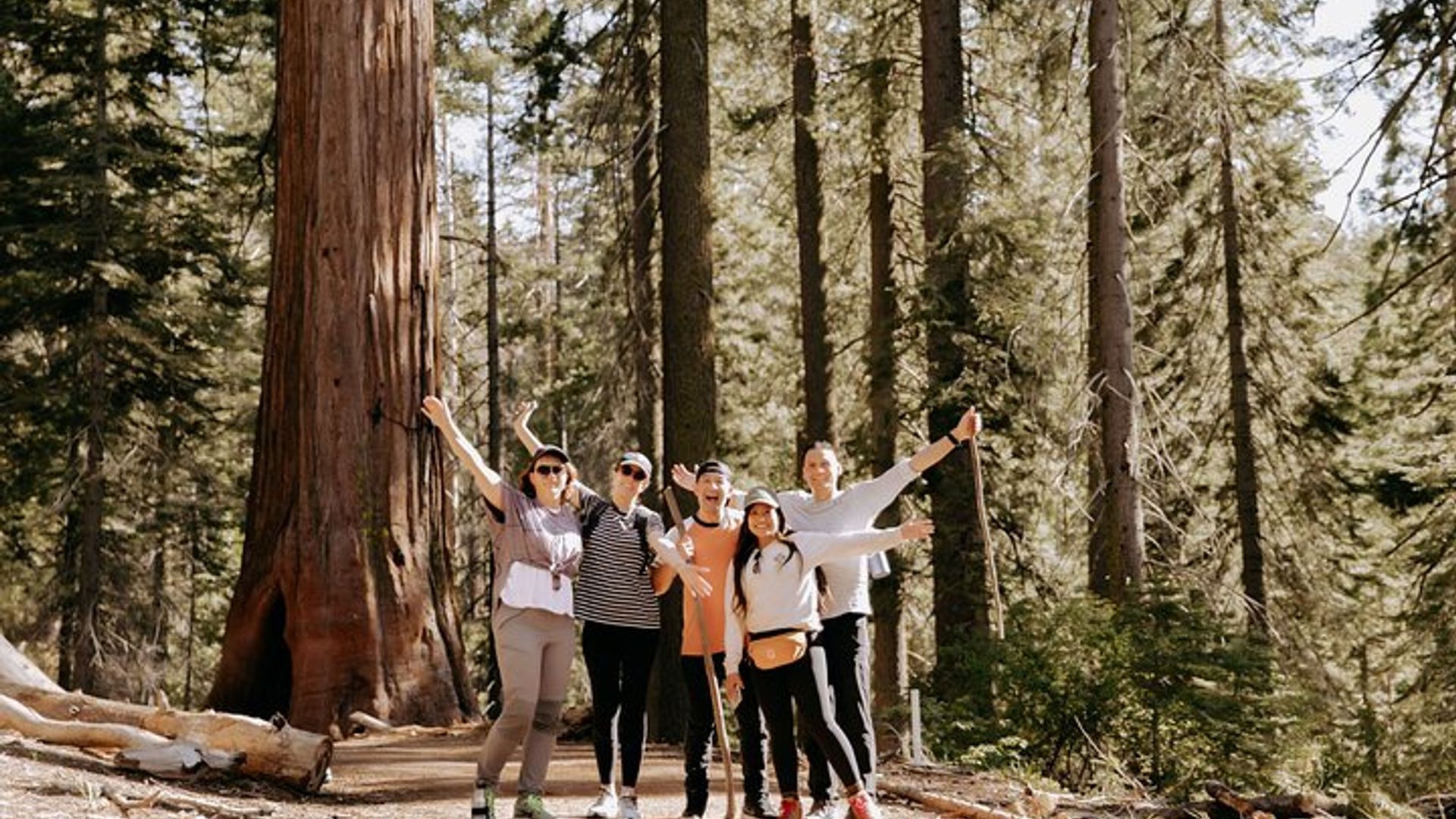 Yosemite National Park and Giant Sequoias 2-Day Tour image 2
