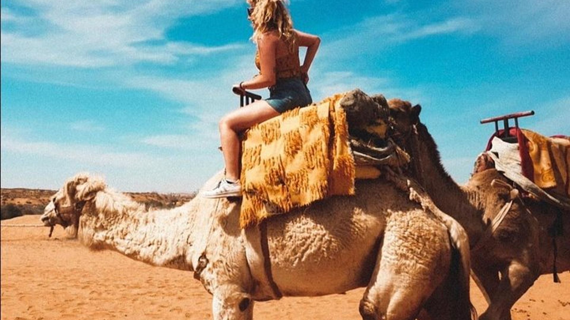 Agadir Sunset Camel Ride with Dinner