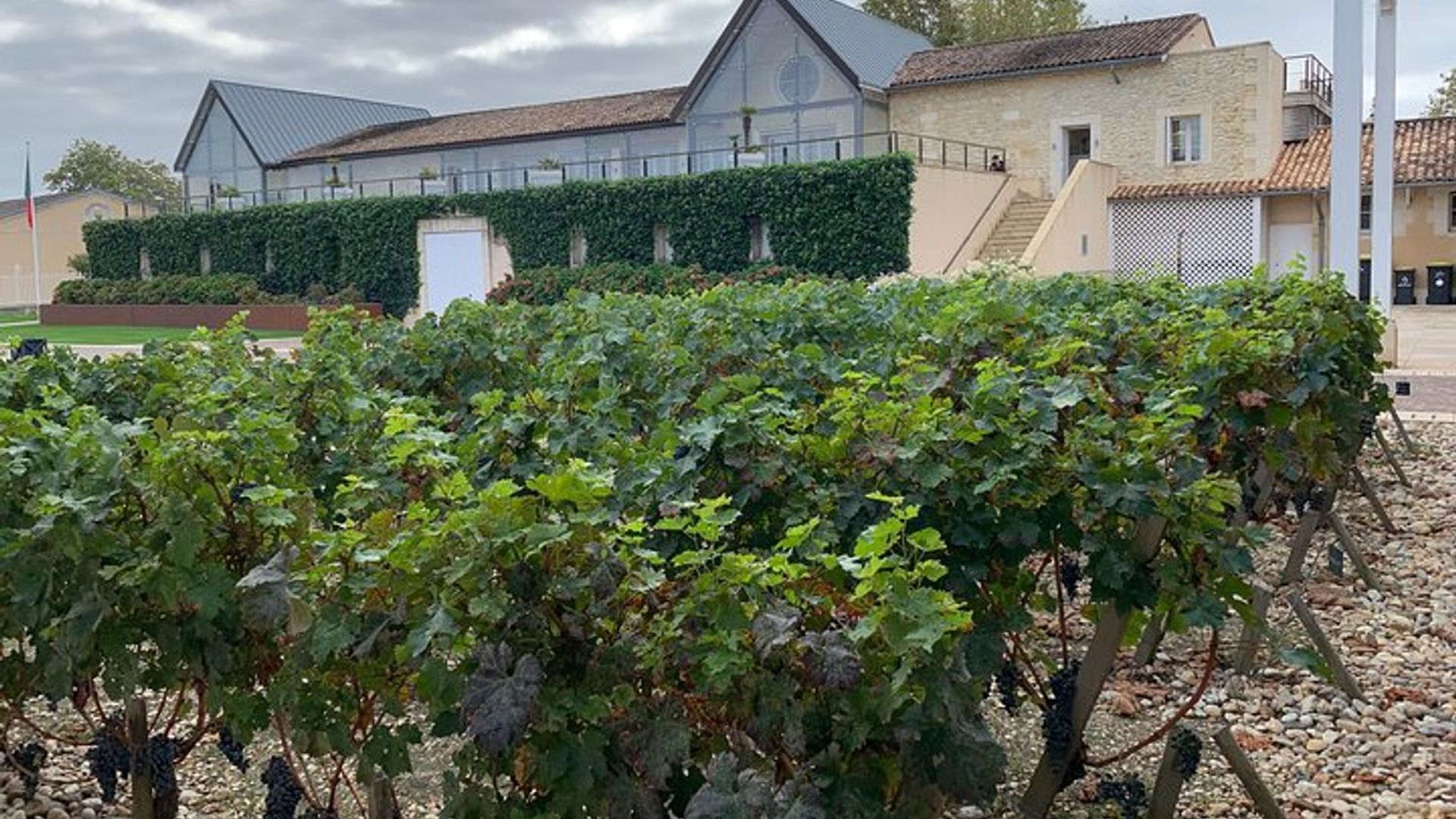 Tour Privé et visites sur la Route des Châteaux du Médoc (Minivan Luxe)