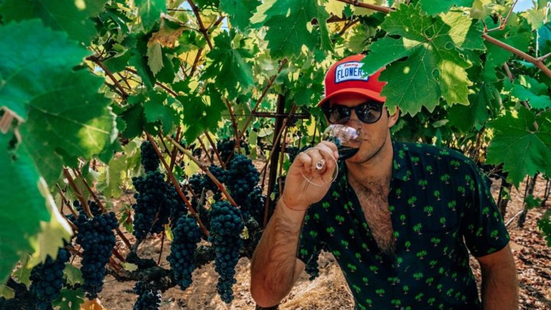 The Ultimate Wine Country Experience (Private & All-Inclusive) image 3