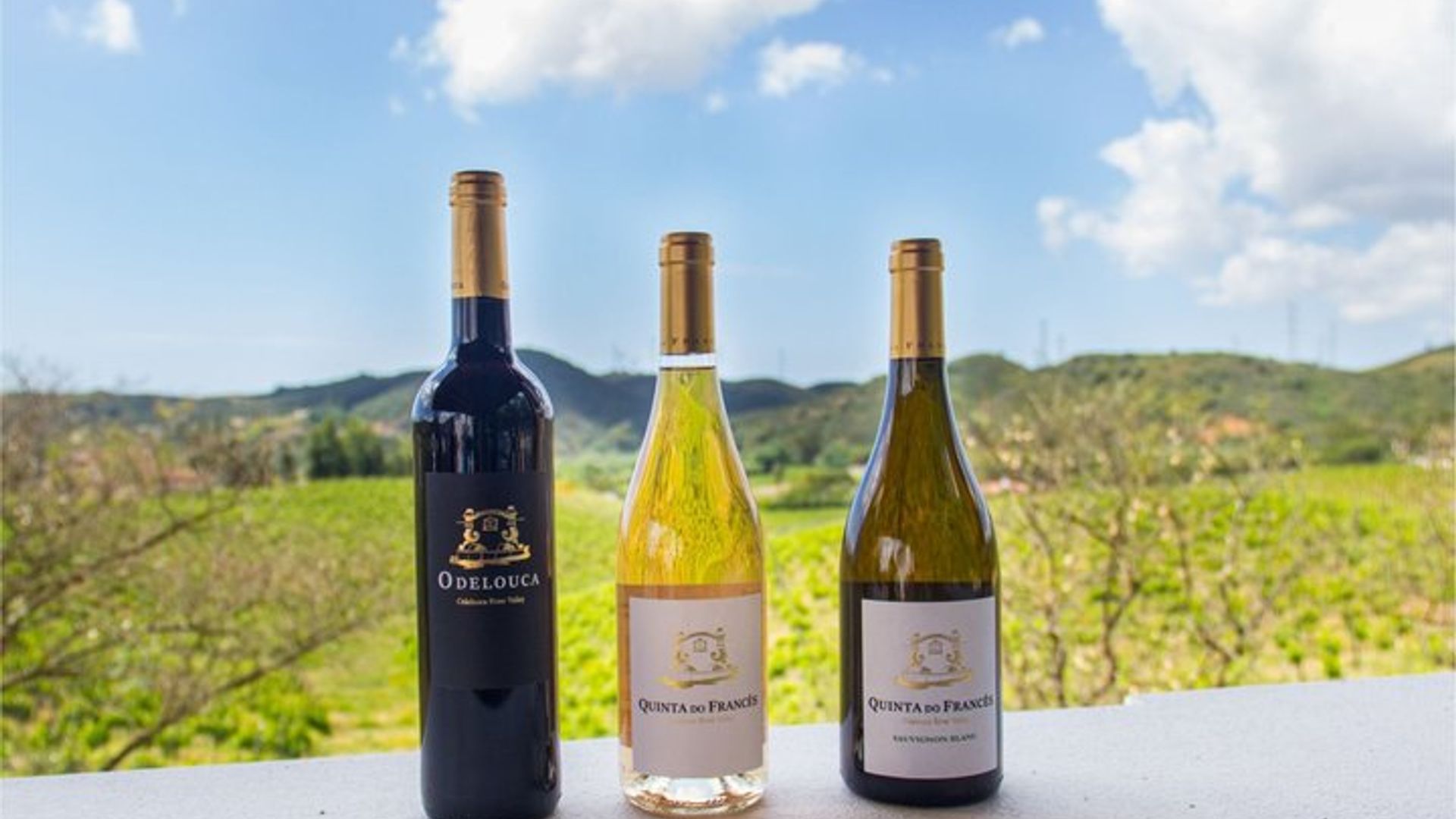 Albufeira Full-Day Silves and Wineries Tour With Tastings
