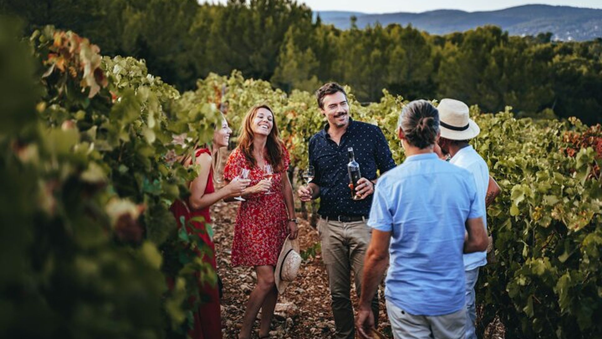 Provence Full-Day Small-Group Wine Tasting Vineyard Tour